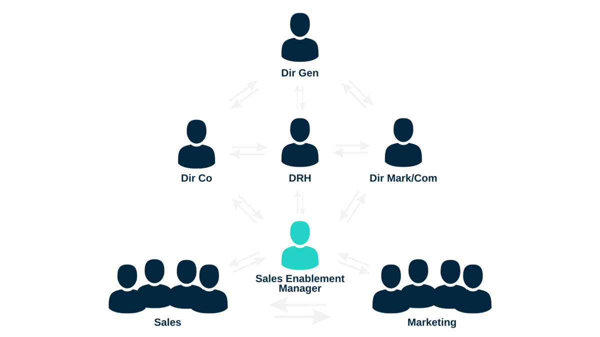 Organization of a company with the Sales Enablement Manager